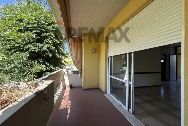 insertion image