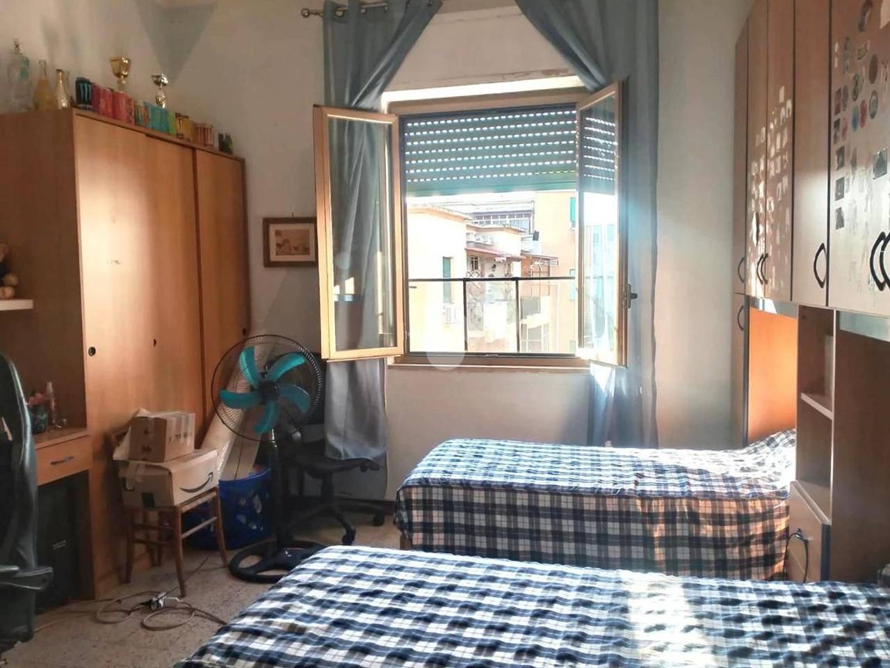 immagine annuncio 6 di 12