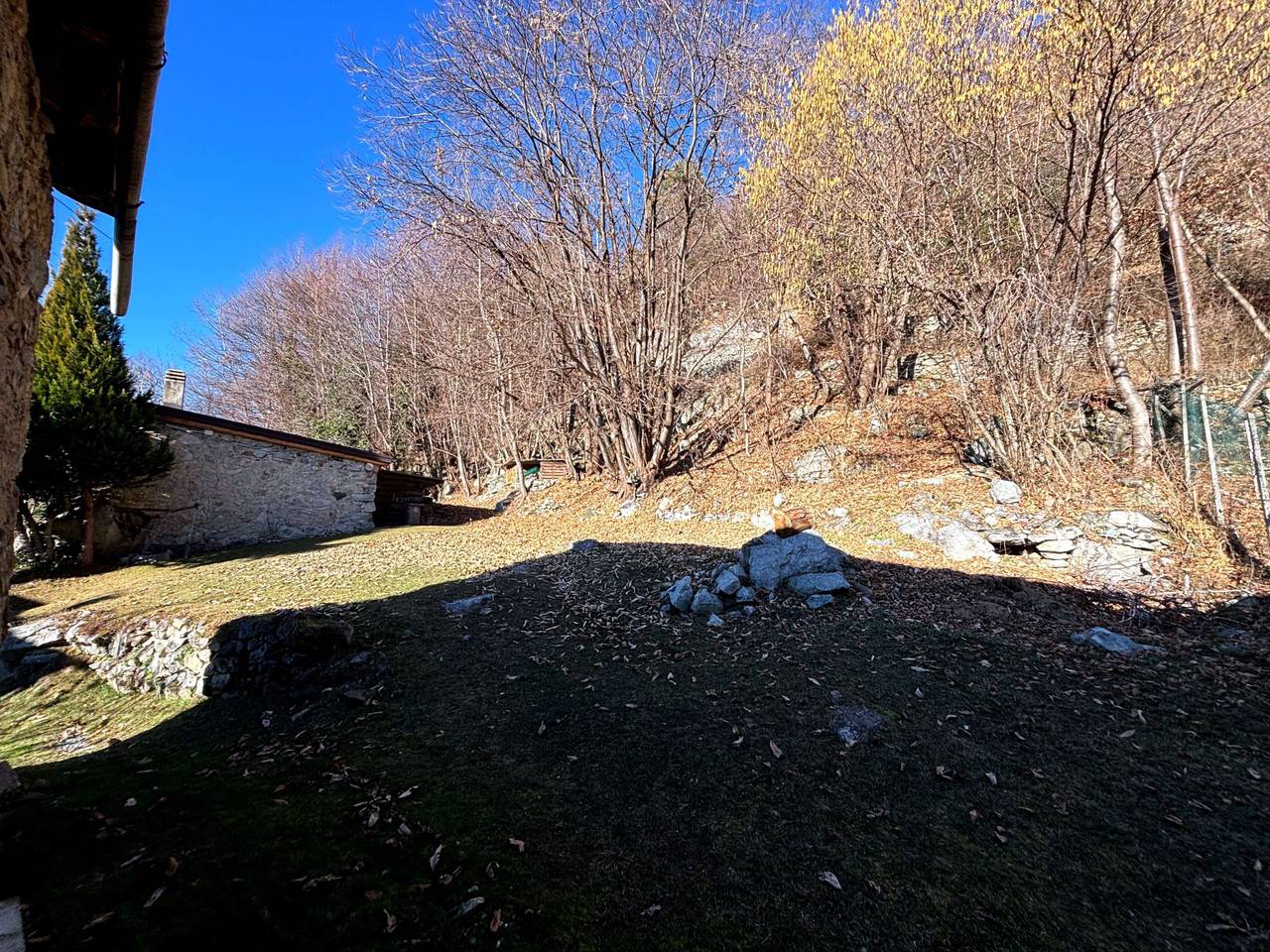 immagine annuncio 5 di 9