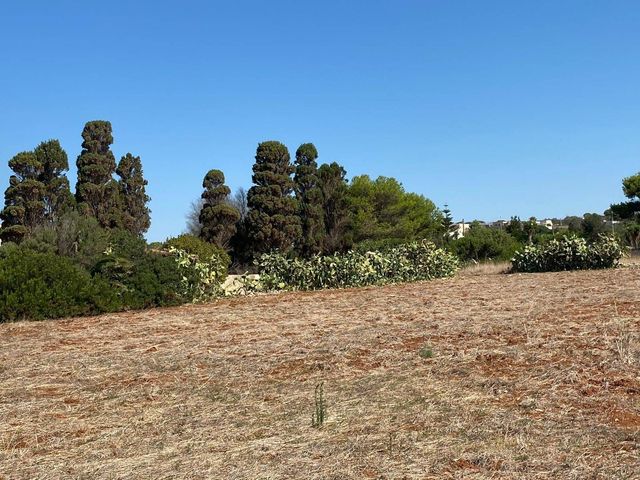 Terreno agricolo in {3}, Strada Comunale Primo Pali - Foto 1