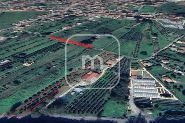 insertion image
