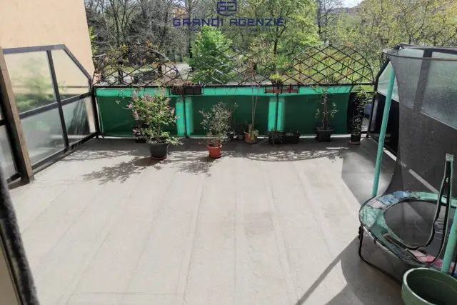 insertion image