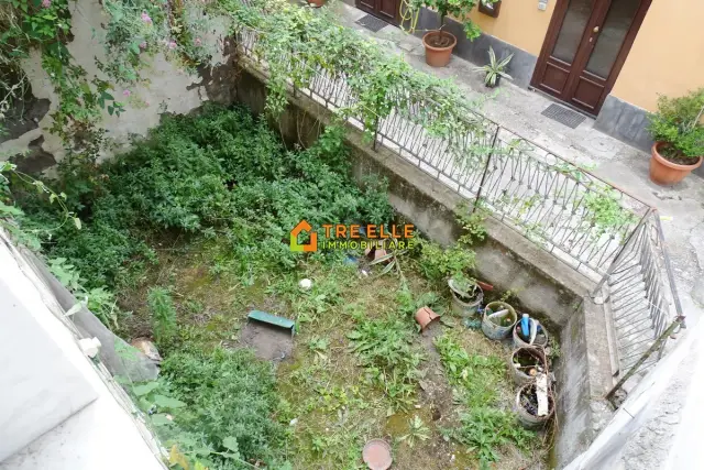insertion image