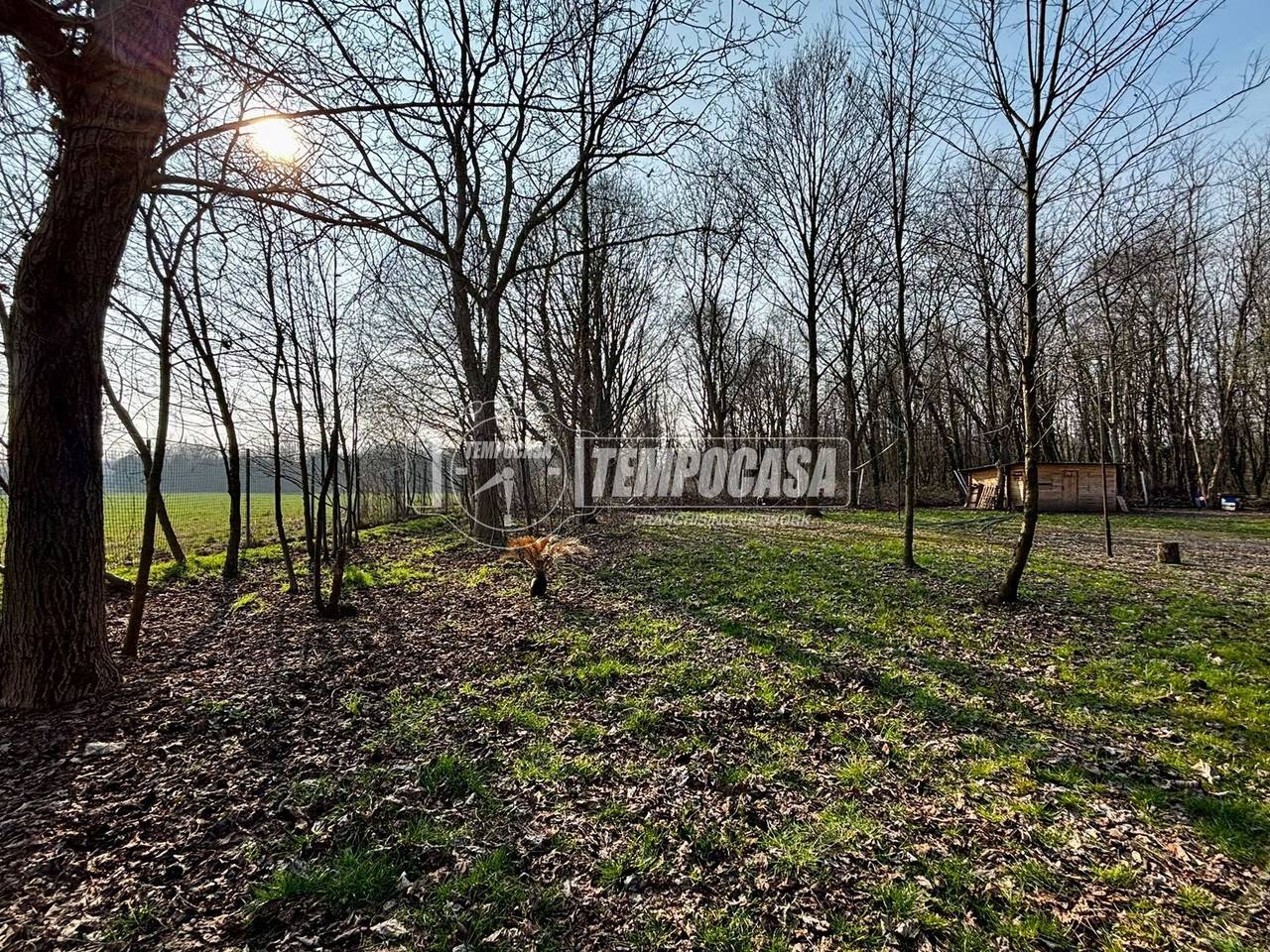 immagine annuncio 2 di 12