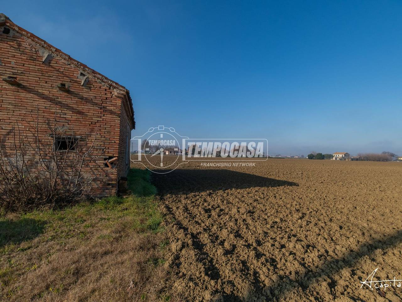 immagine annuncio 8 di 12