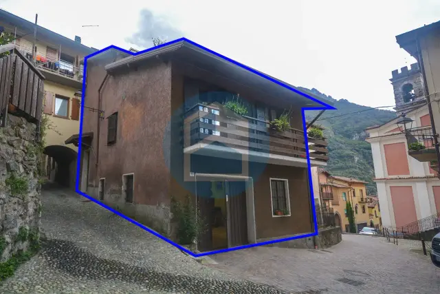 insertion image