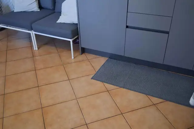 insertion image