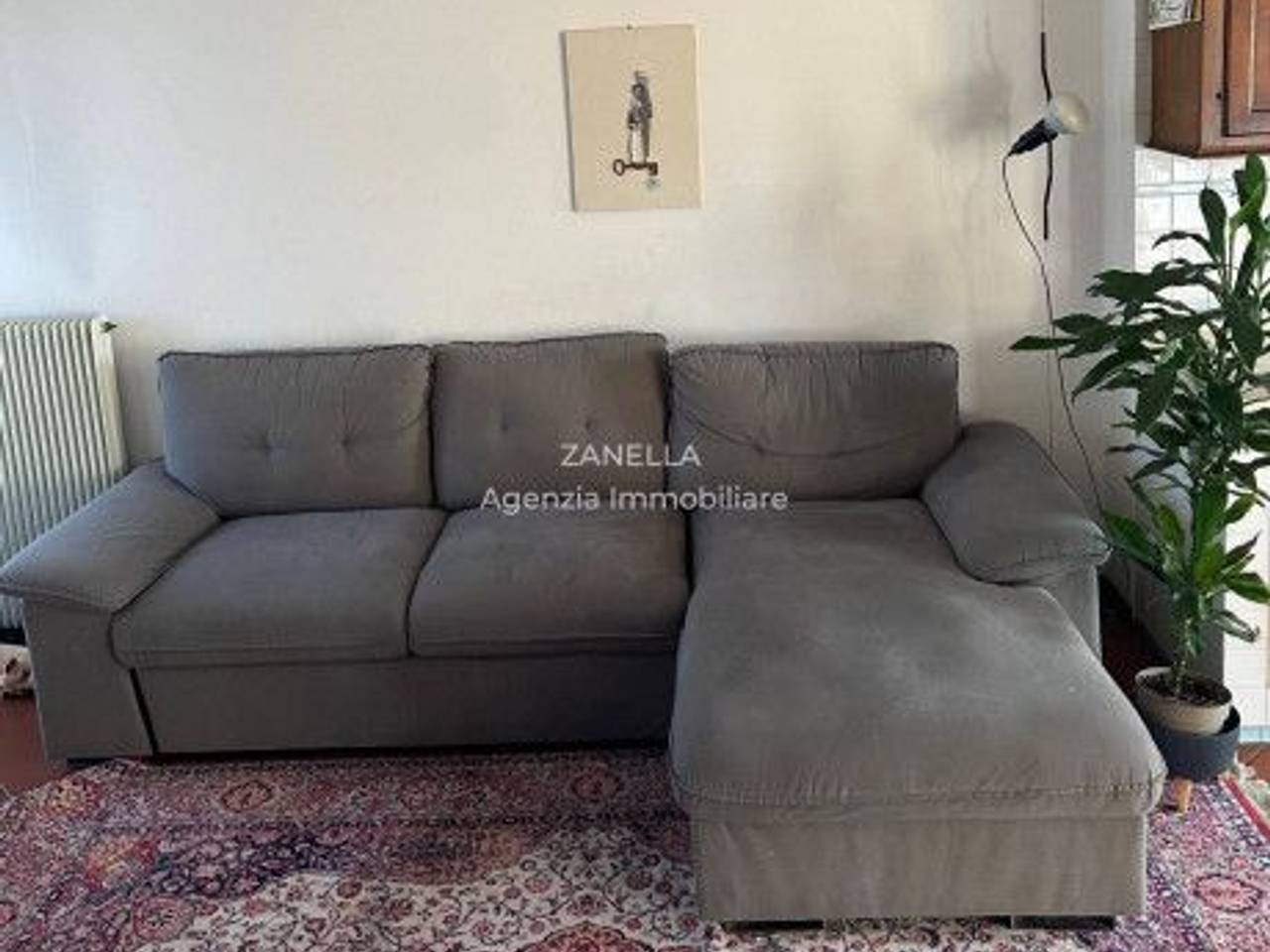 immagine annuncio 2 di 14