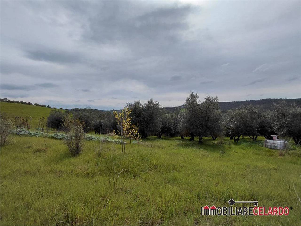 immagine annuncio 9 di 13