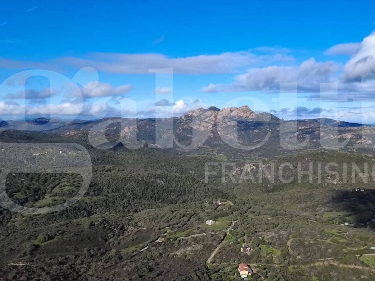 immagine annuncio 3 di 13