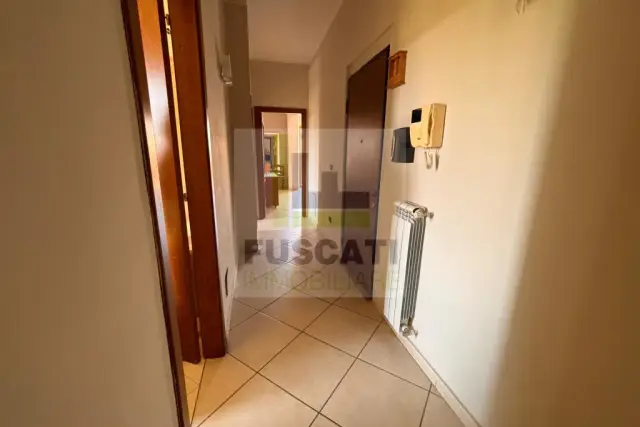 insertion image