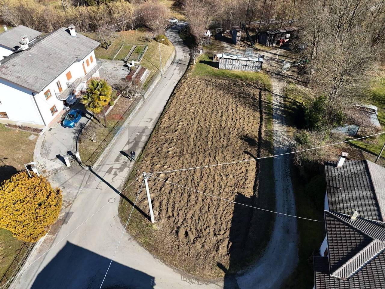 immagine annuncio 6 di 14