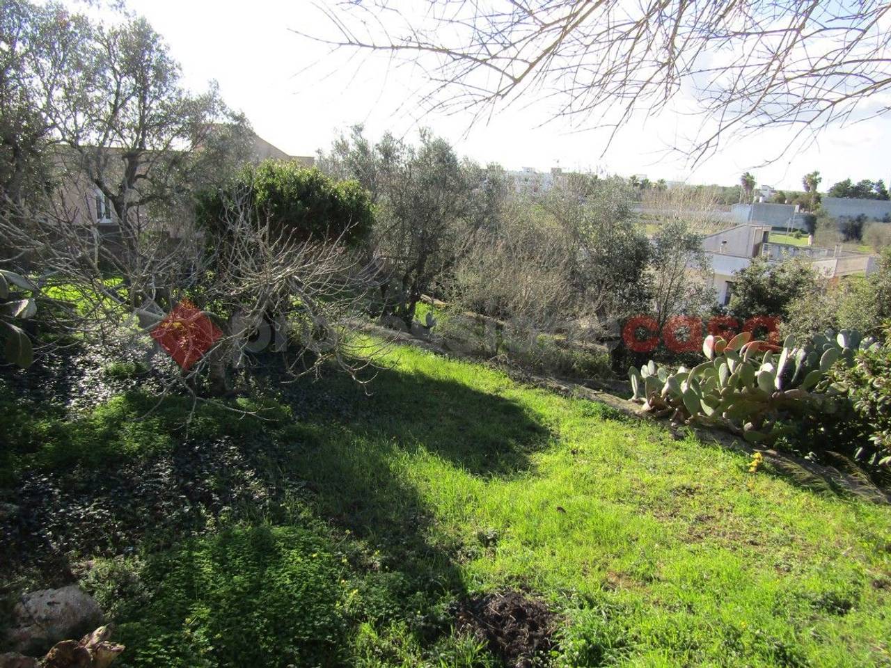 immagine annuncio 3 di 7