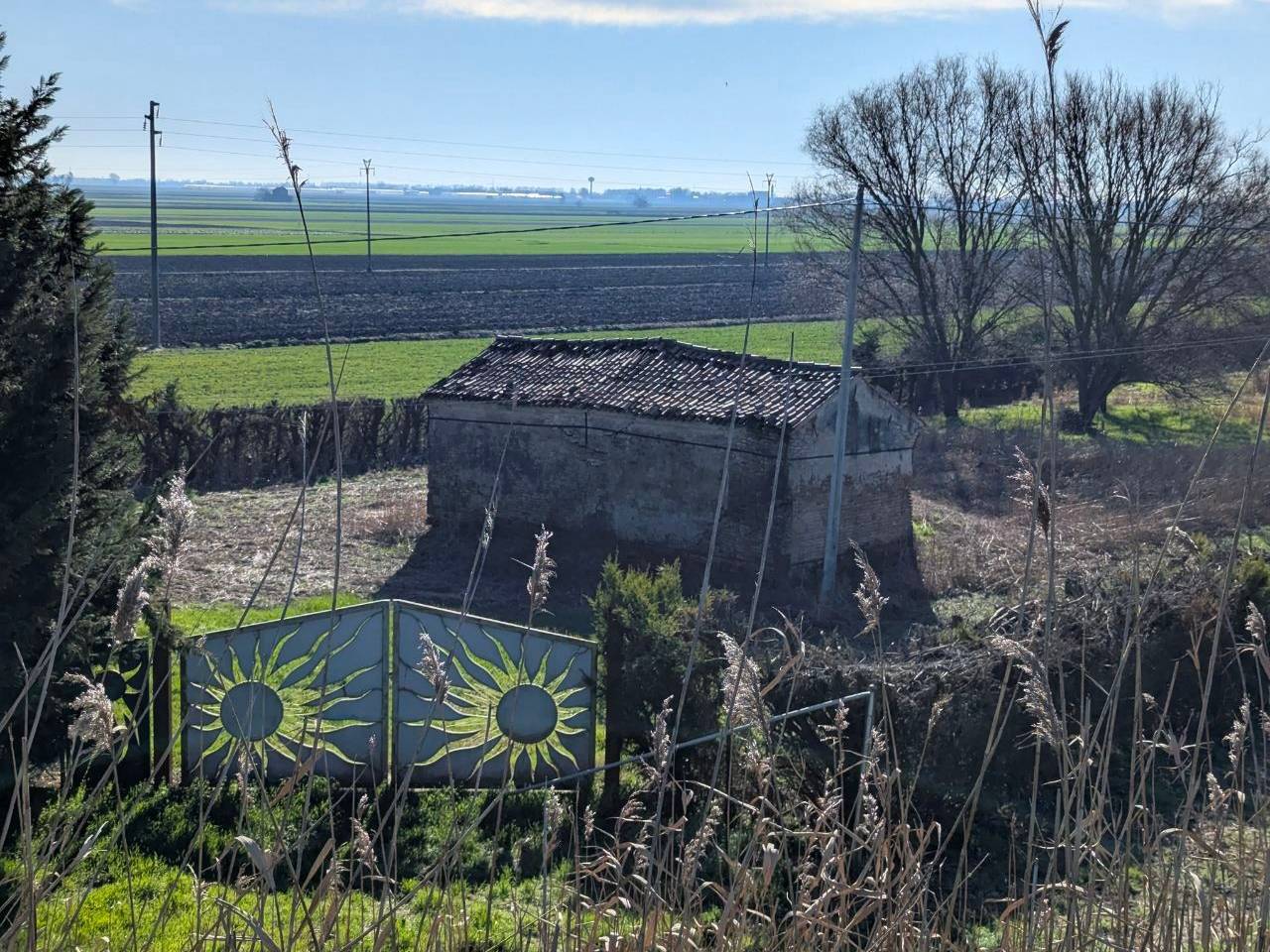 immagine annuncio 1 di 11