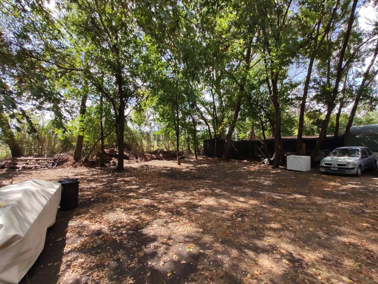 immagine annuncio 5 di 6