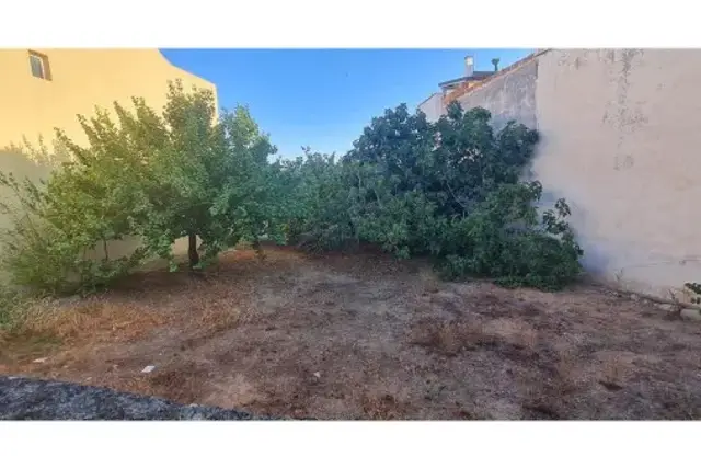 insertion image