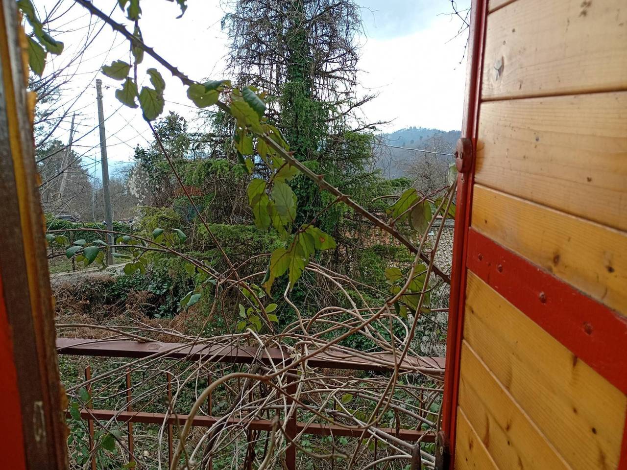 immagine annuncio 6 di 11