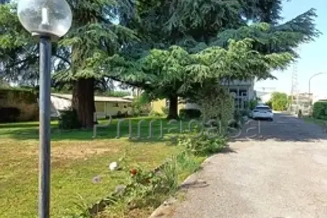 insertion image
