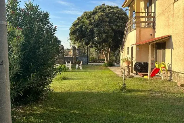 insertion image