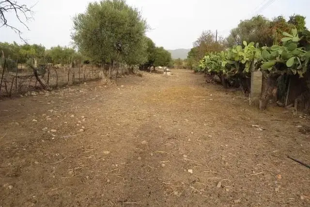 Terreno agricolo, Quartu Sant'Elena - Foto 1