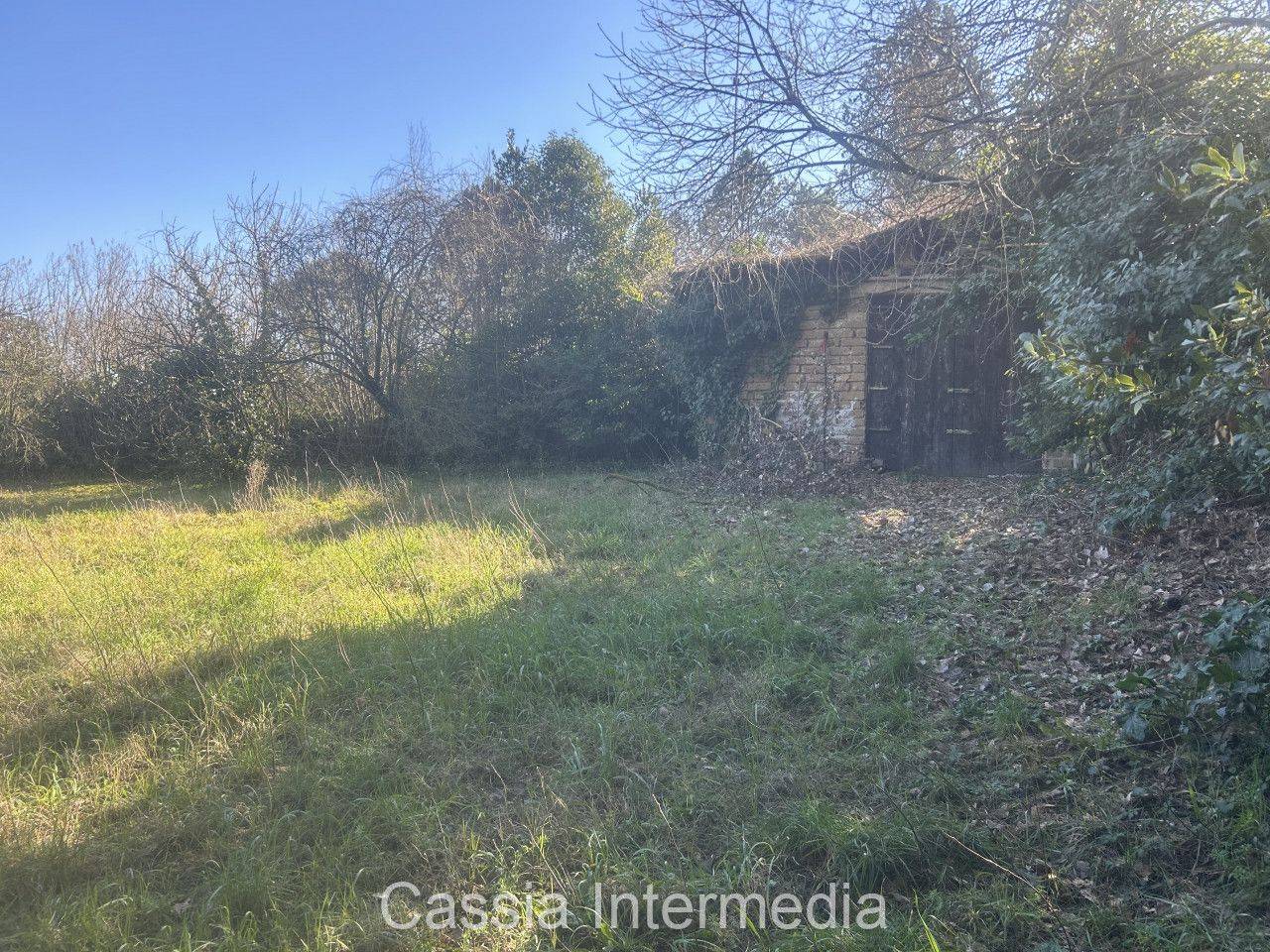 immagine annuncio 1 di 14