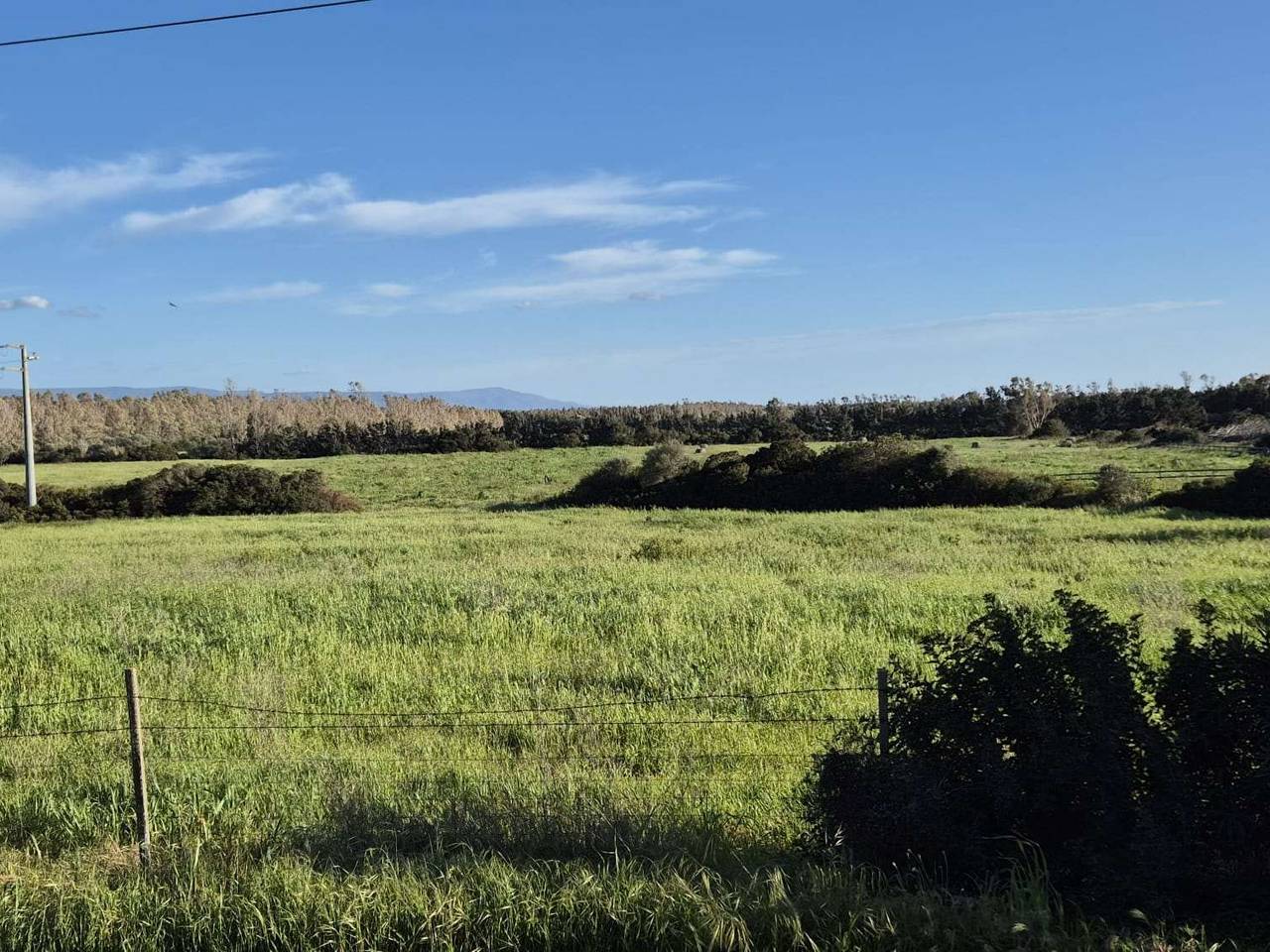 immagine annuncio 4 di 14