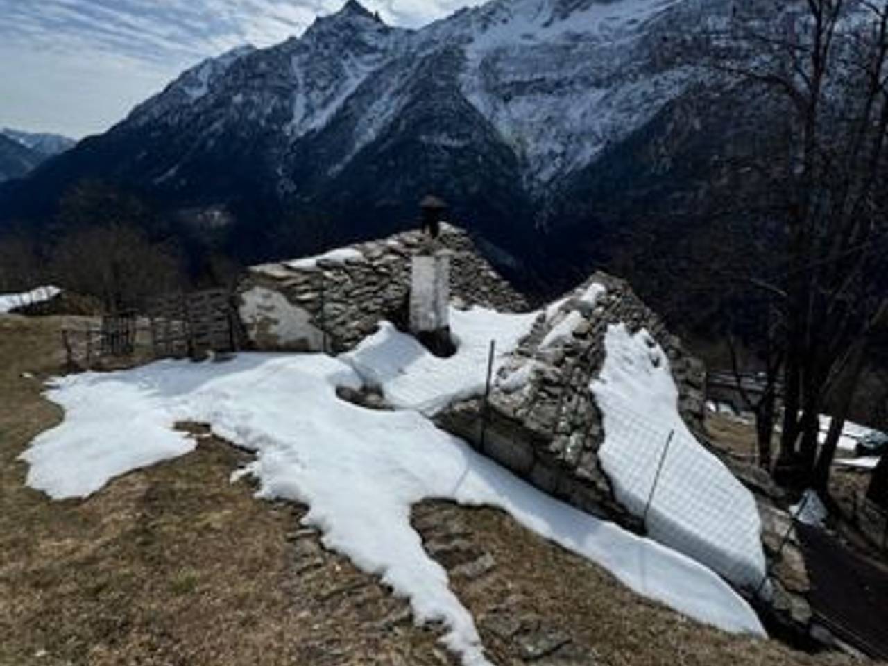 immagine annuncio 3 di 14