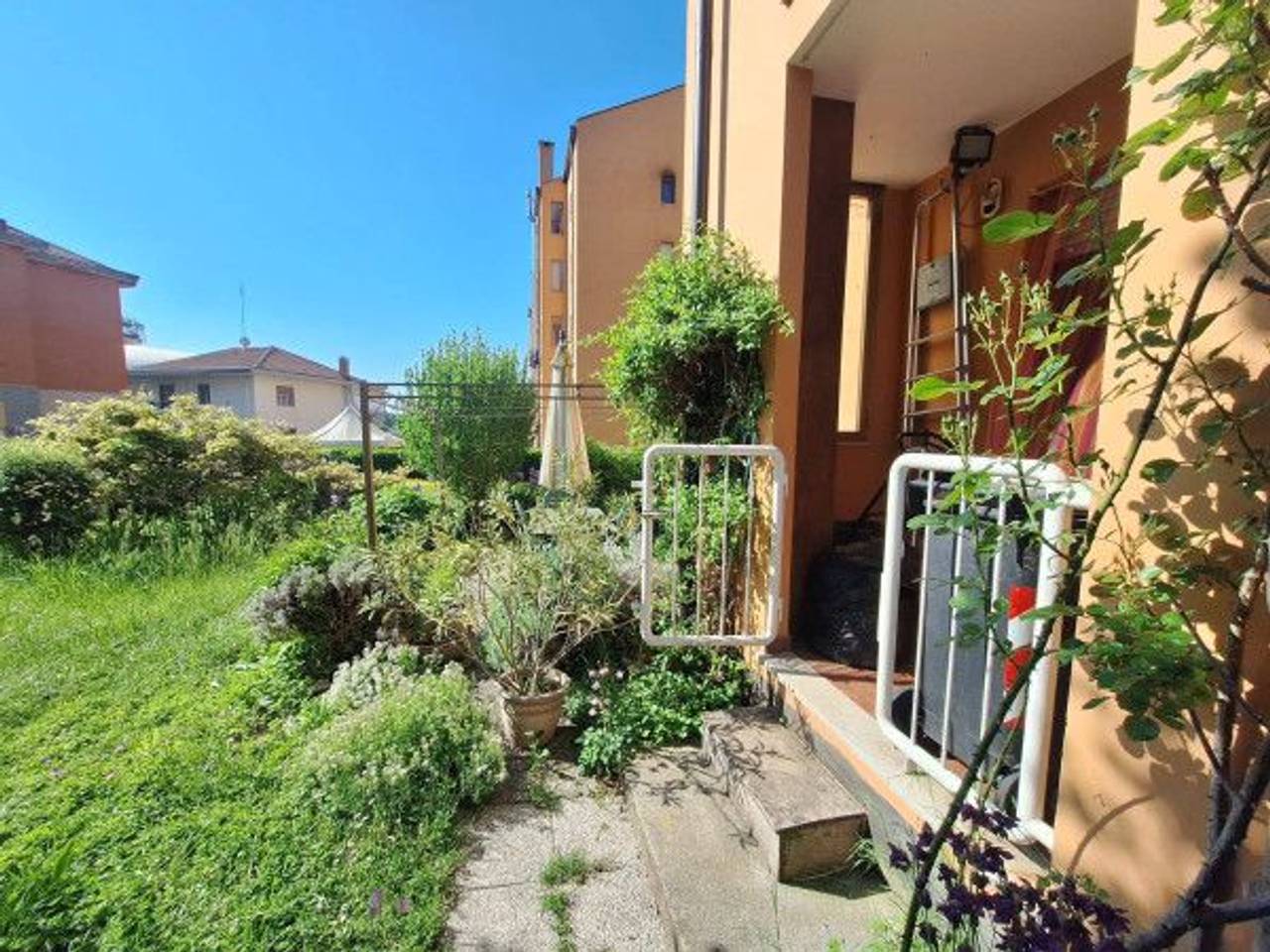 immagine annuncio 5 di 15
