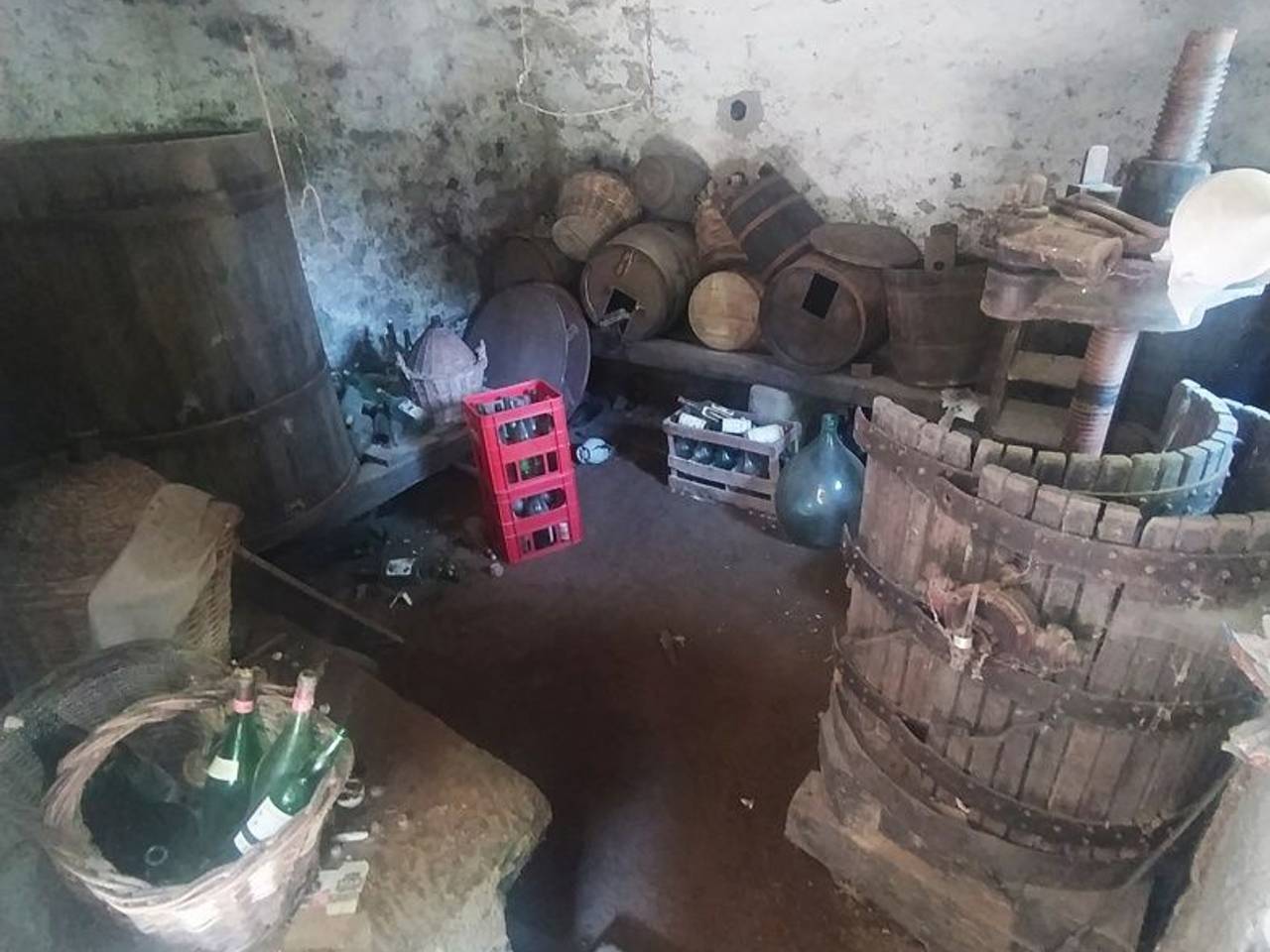 immagine annuncio 8 di 15