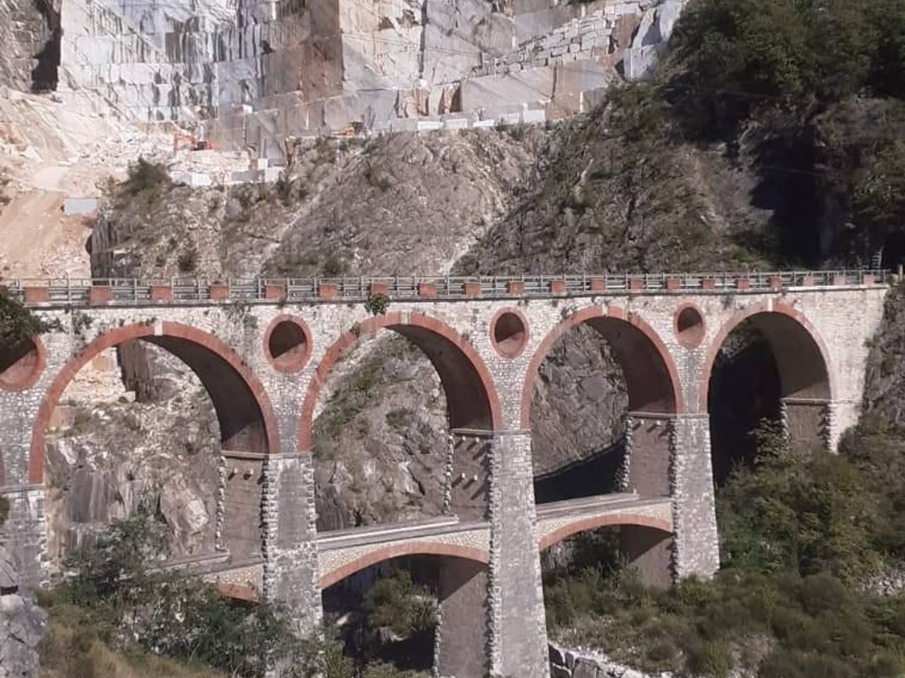 immagine annuncio 11 di 14