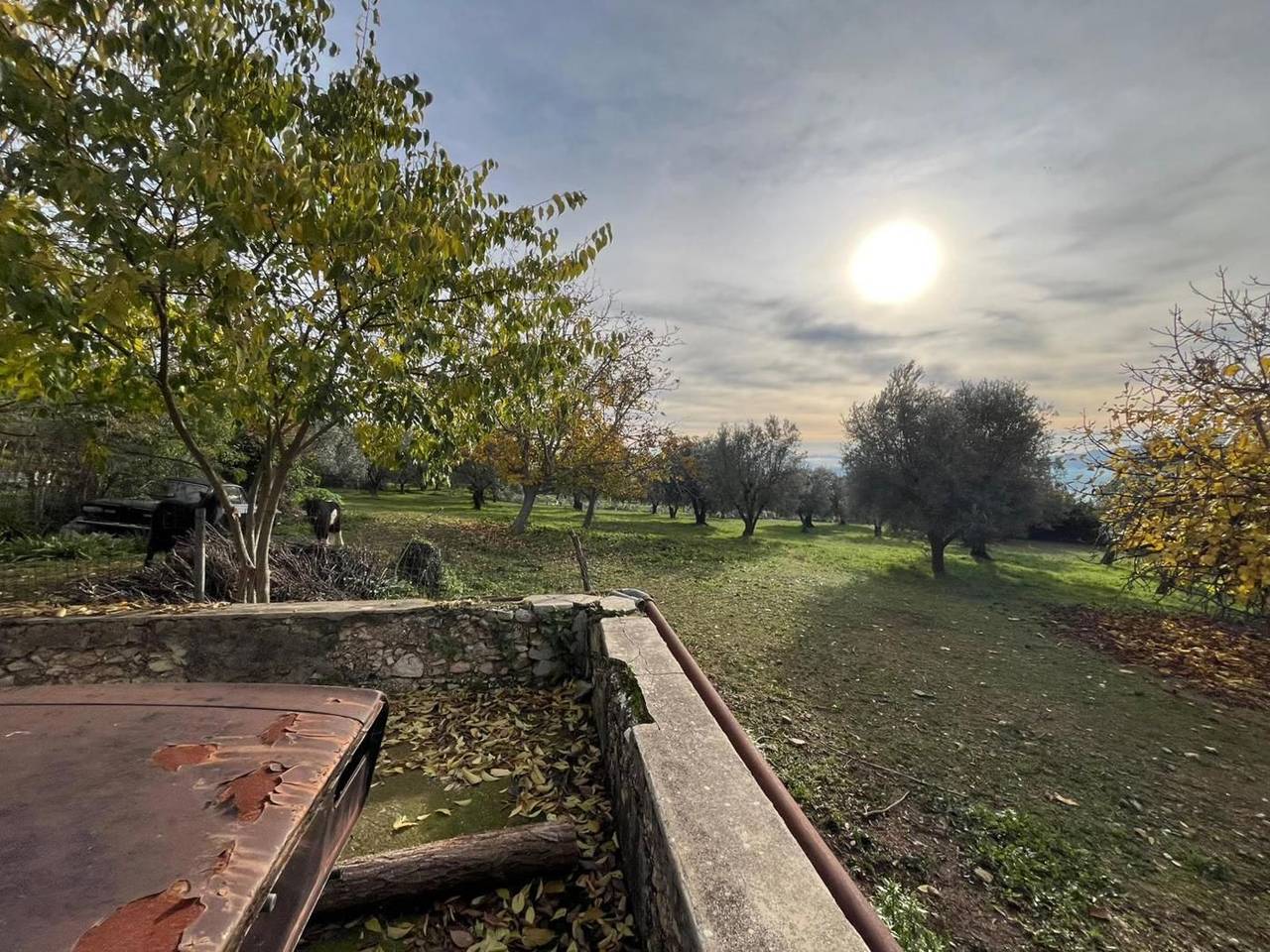 immagine annuncio 4 di 7