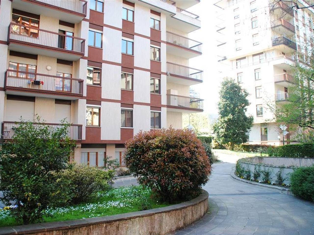 immagine annuncio 3 di 14