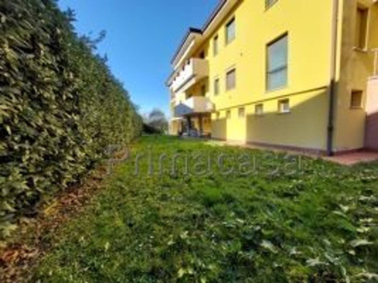 immagine annuncio 2 di 7