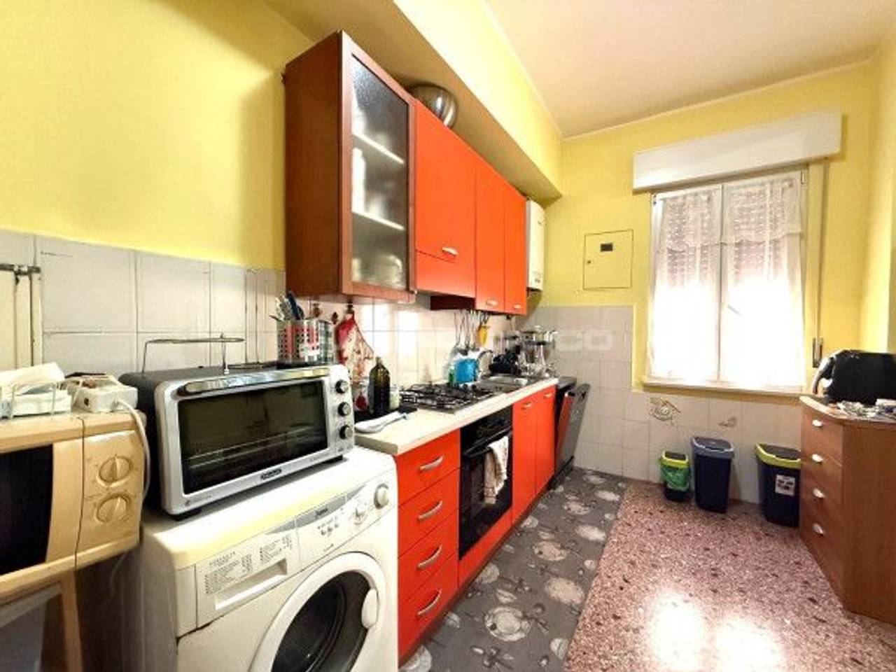 immagine annuncio 4 di 14