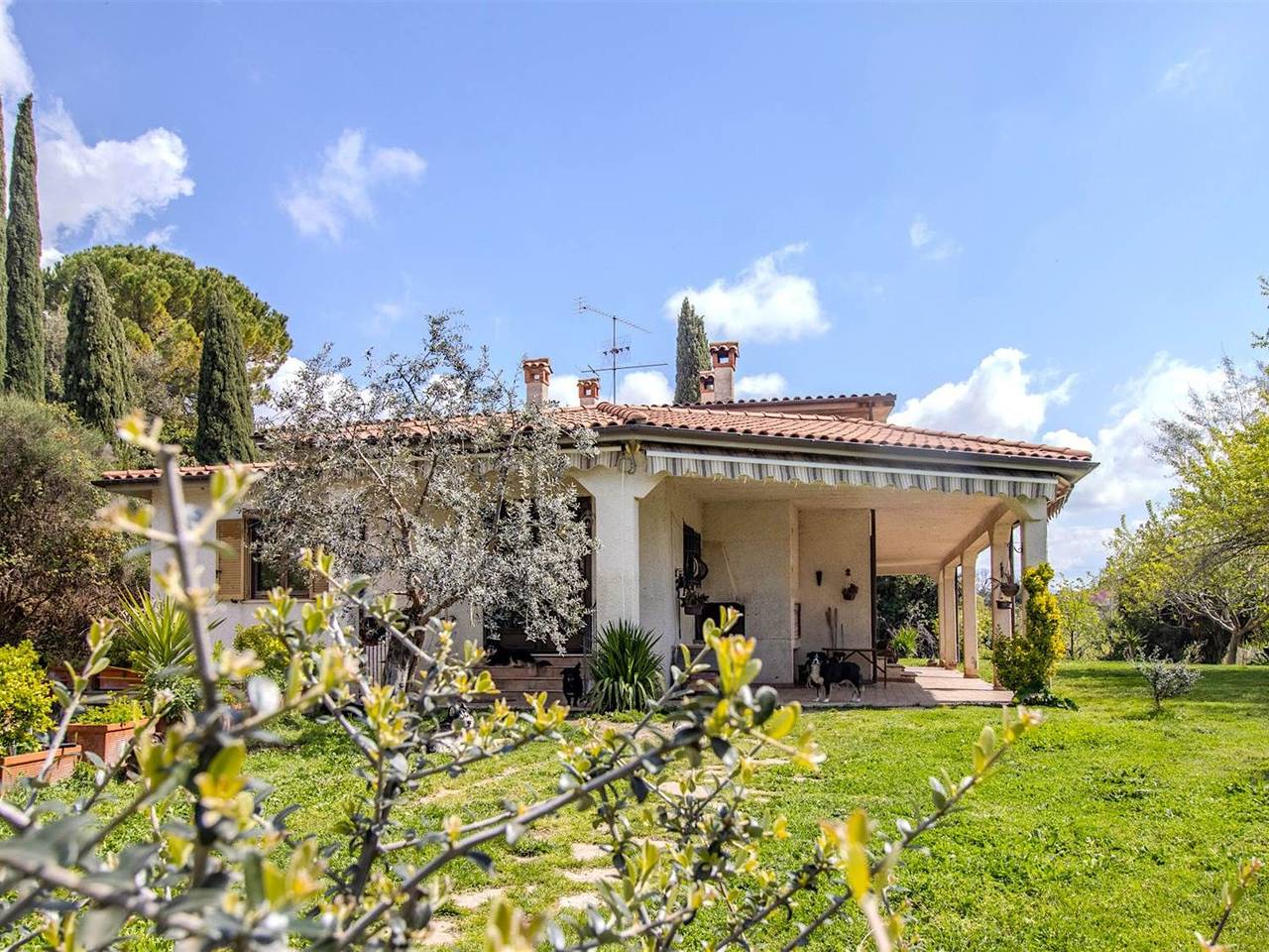 immagine annuncio 4 di 15