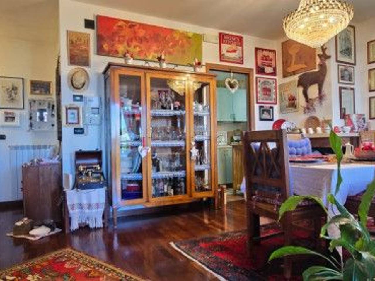 immagine annuncio 6 di 15