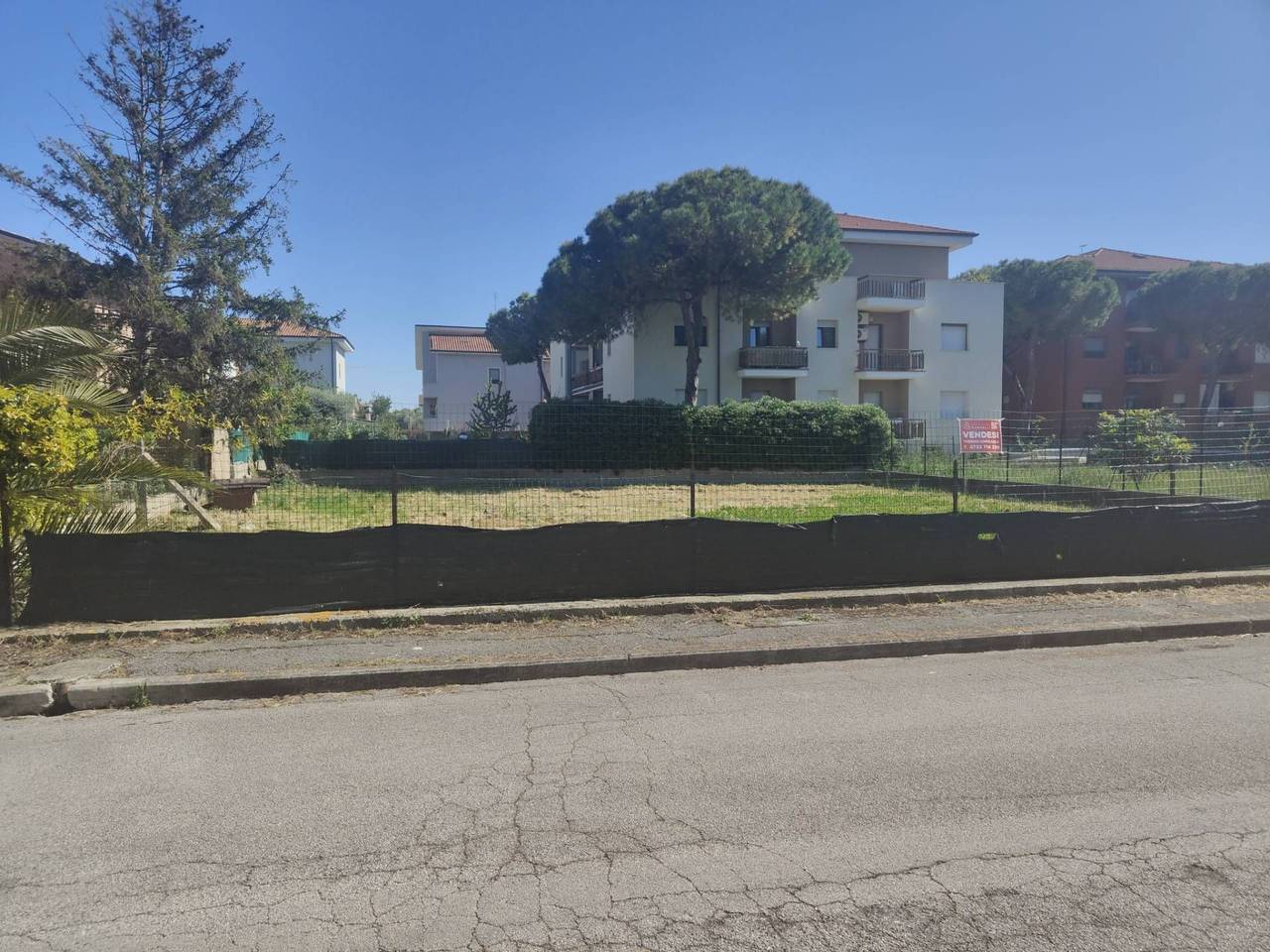 immagine annuncio 5 di 6