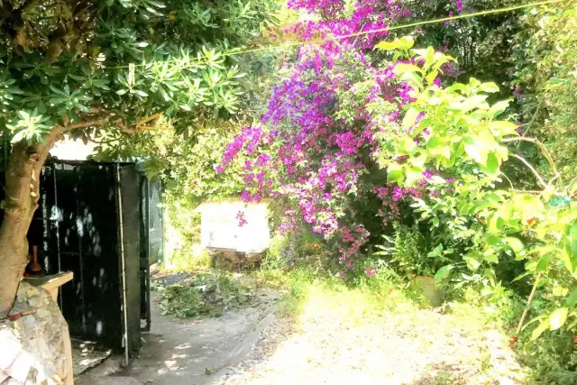 Casa indipendente, Rosignano Marittimo - Foto 1