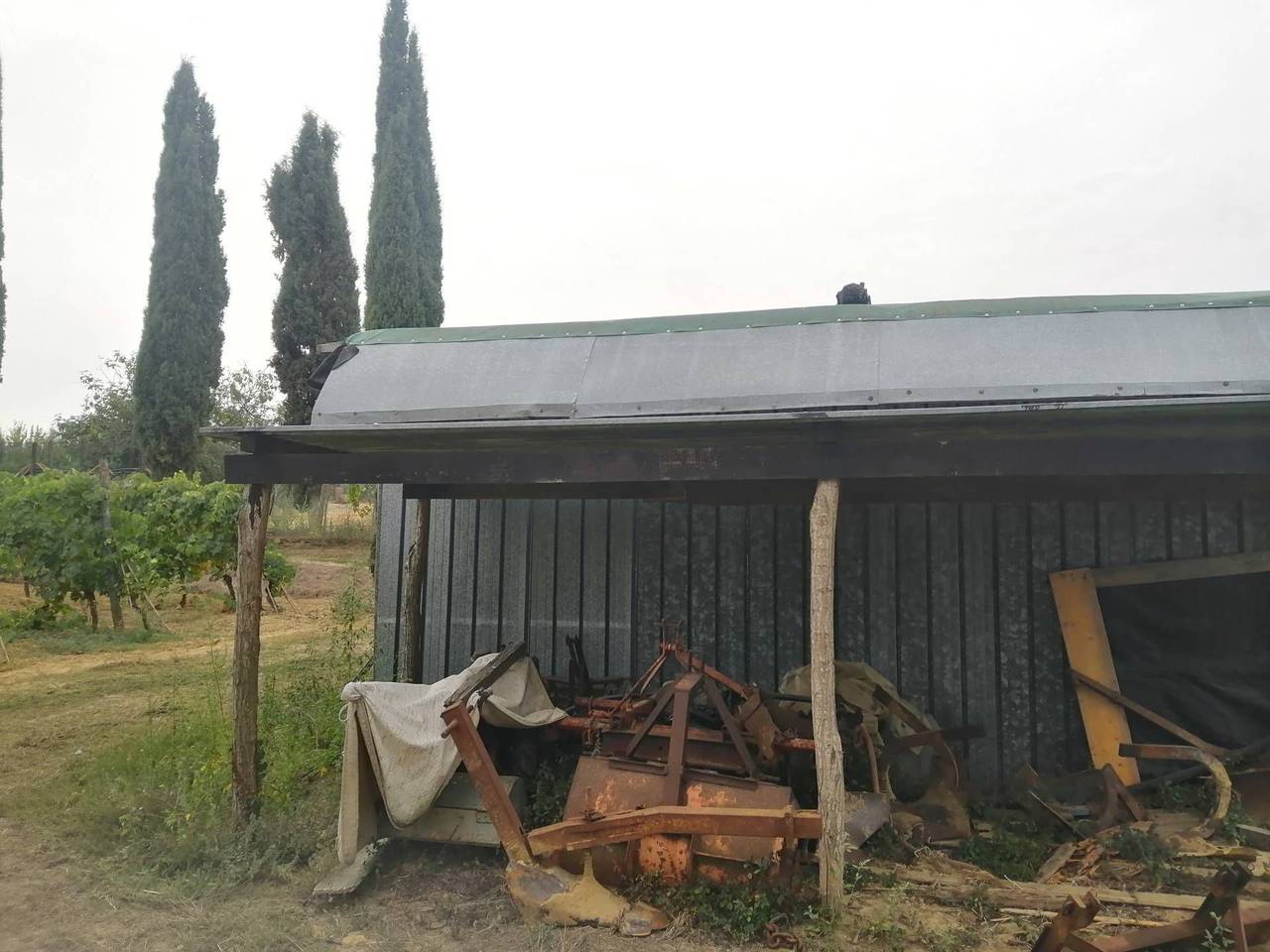 immagine annuncio 2 di 8