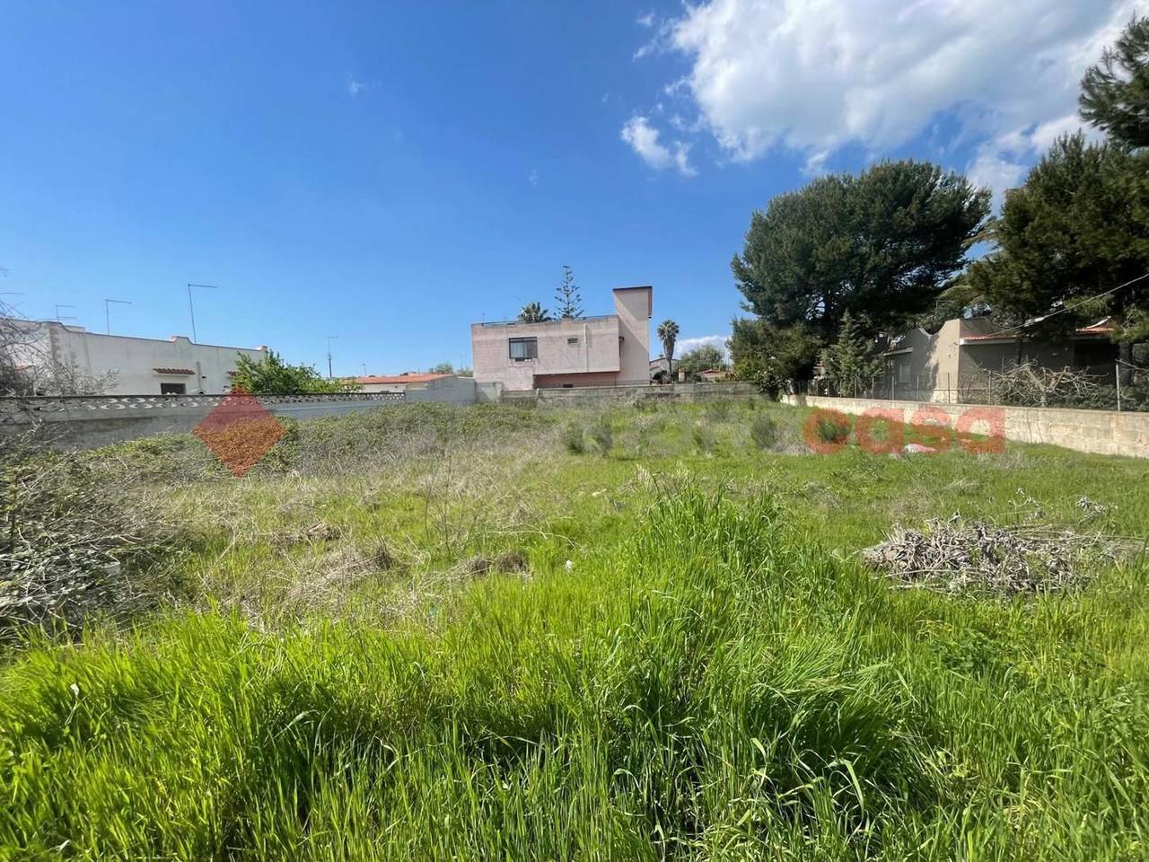 immagine annuncio 2 di 7