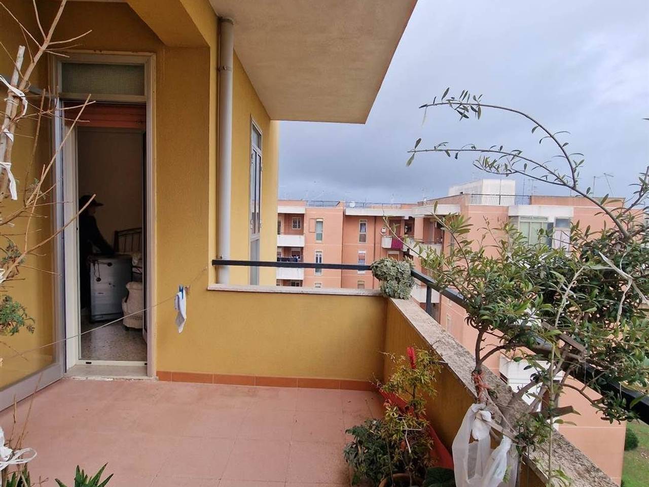 immagine annuncio 9 di 14