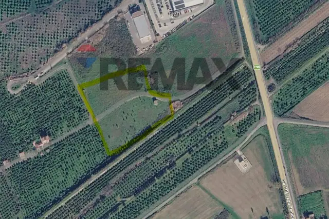 insertion image
