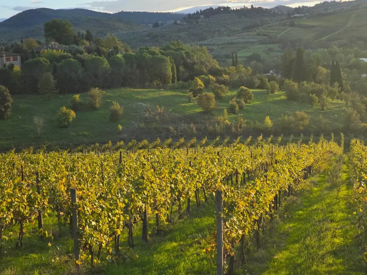 Azienda agricola in , Greve In Chianti, {3} - Foto 1