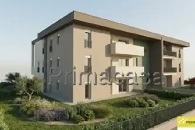 insertion image
