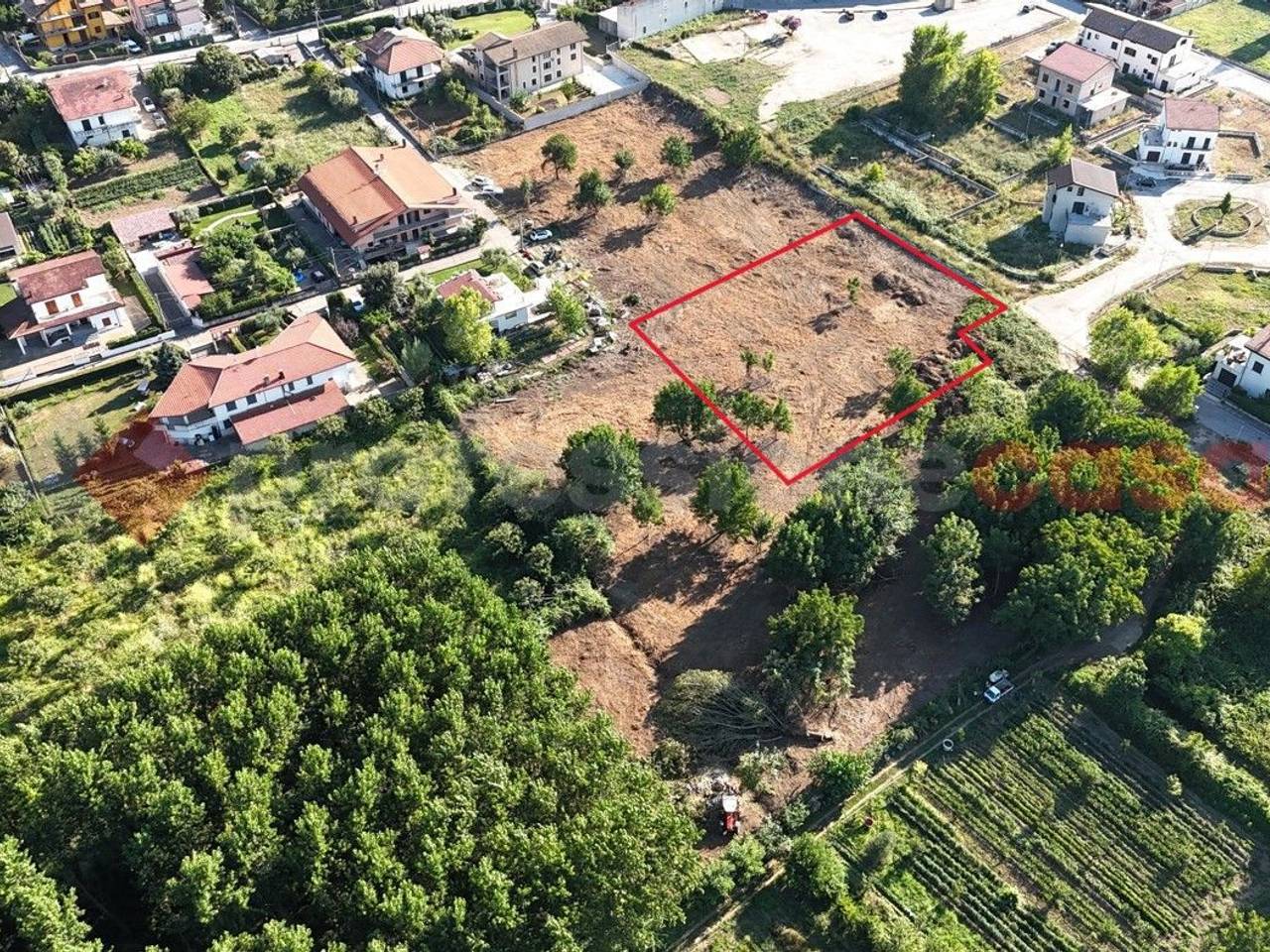 immagine annuncio 2 di 7