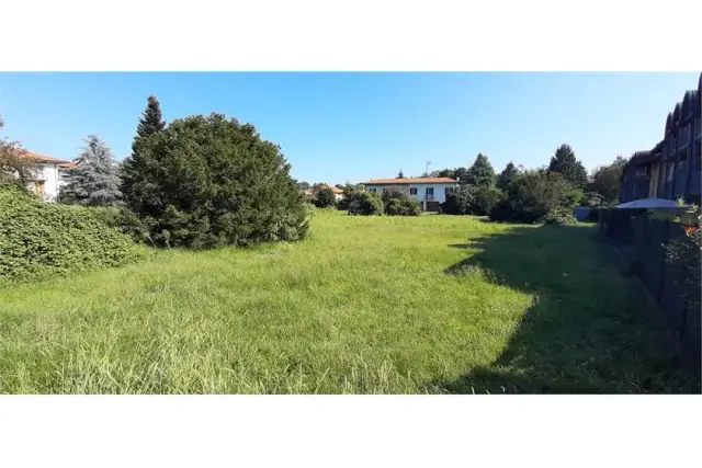 insertion image