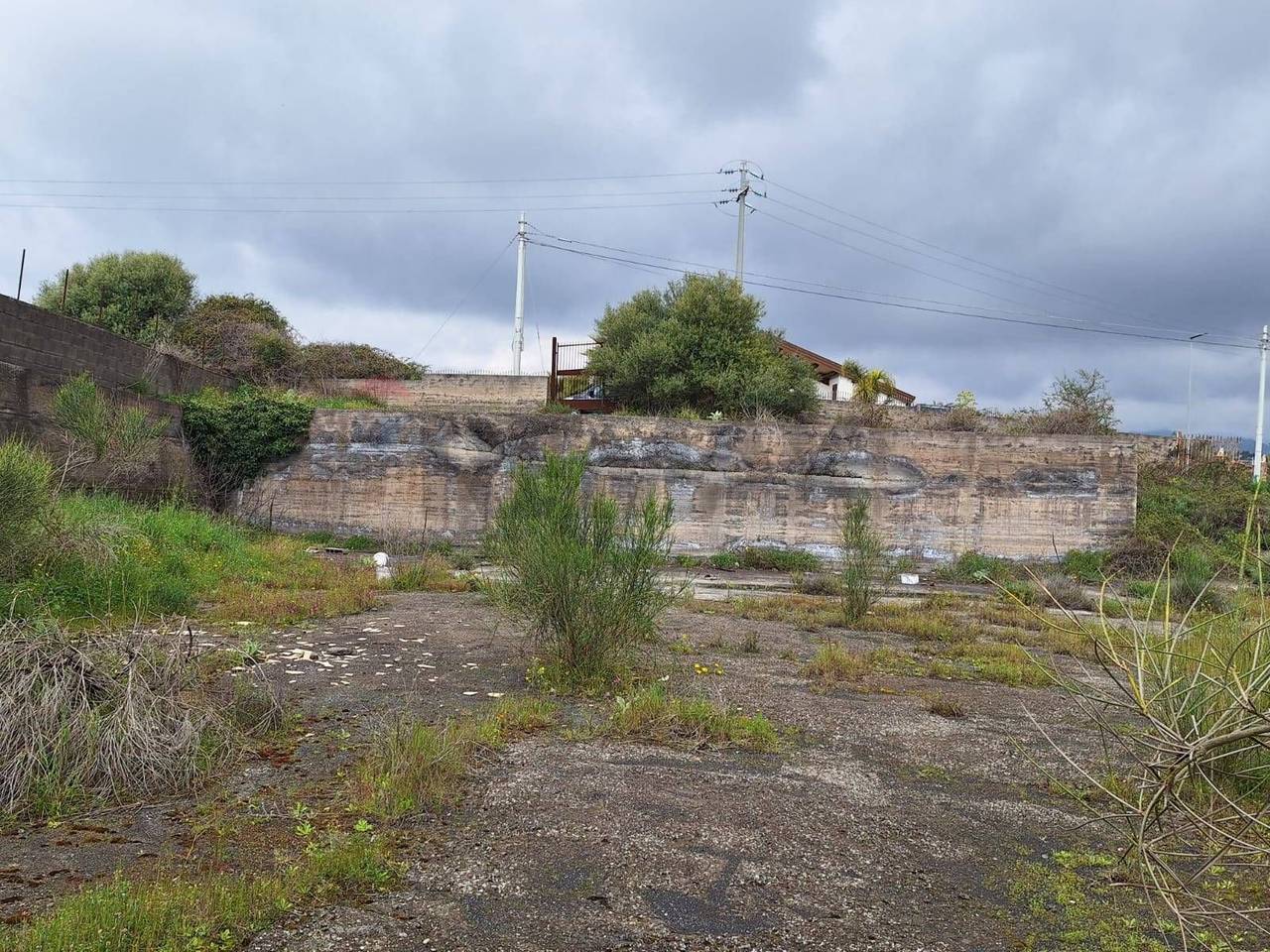 immagine annuncio 4 di 9