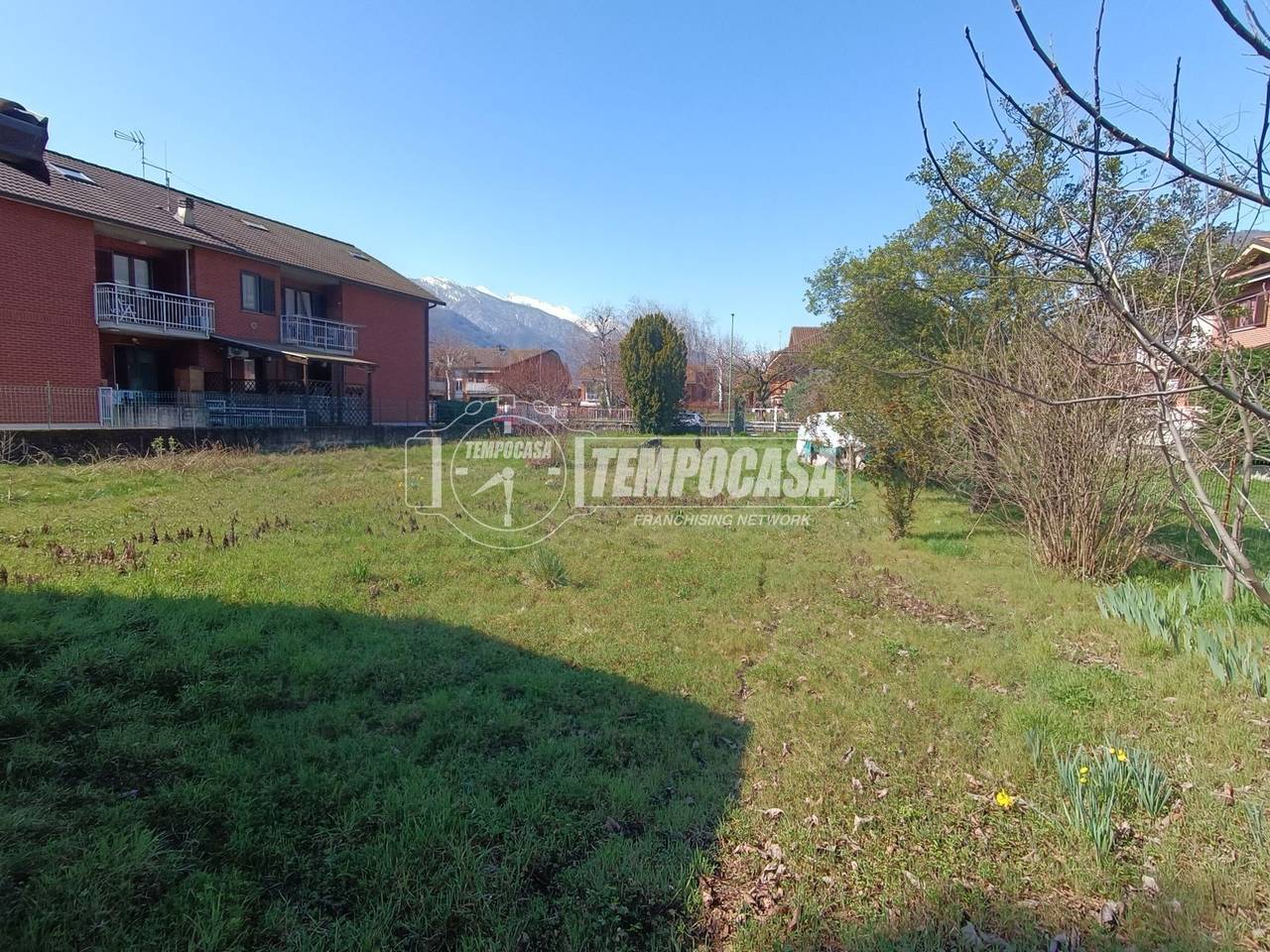 immagine annuncio 5 di 8