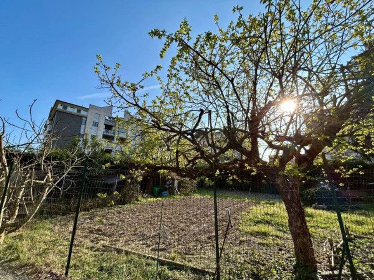 immagine annuncio 11 di 14