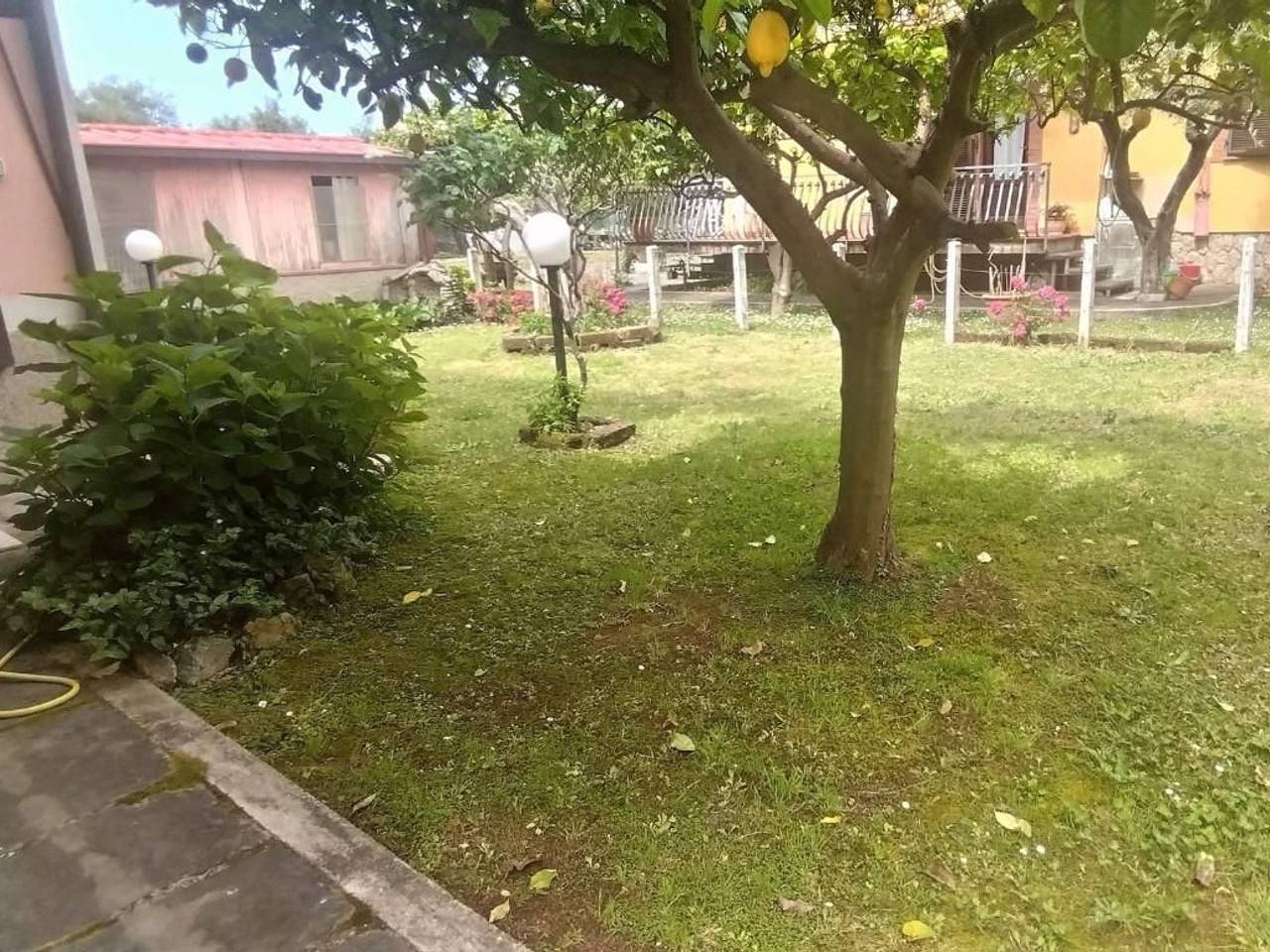 immagine annuncio 5 di 15